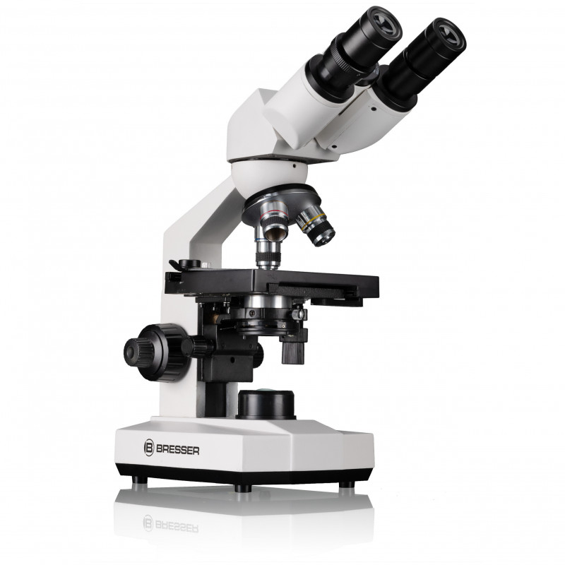 microscope erudit basic bino 40x-400x