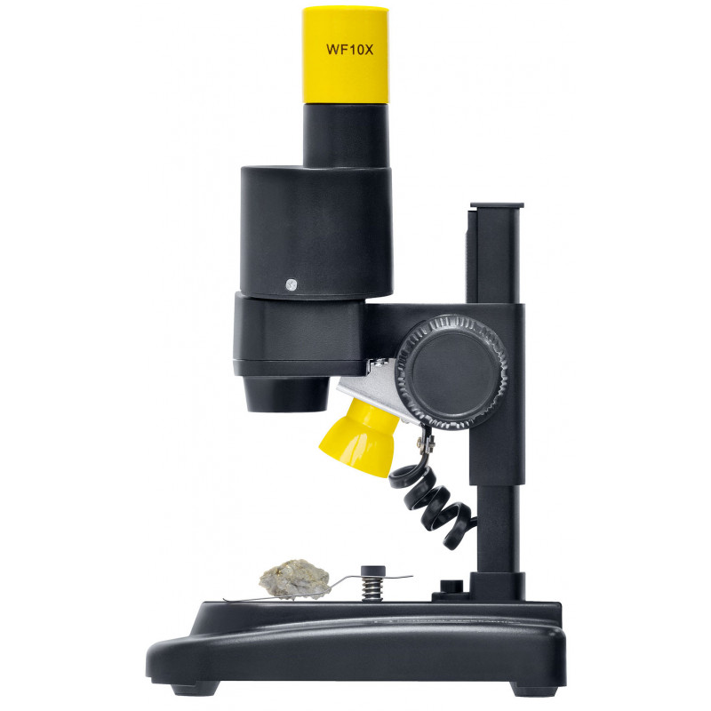 Vrai microscope ou loupe binoculaire pour les enfants - En direct de la  fabrique de crevettes